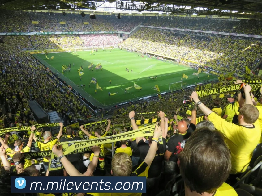 体育App